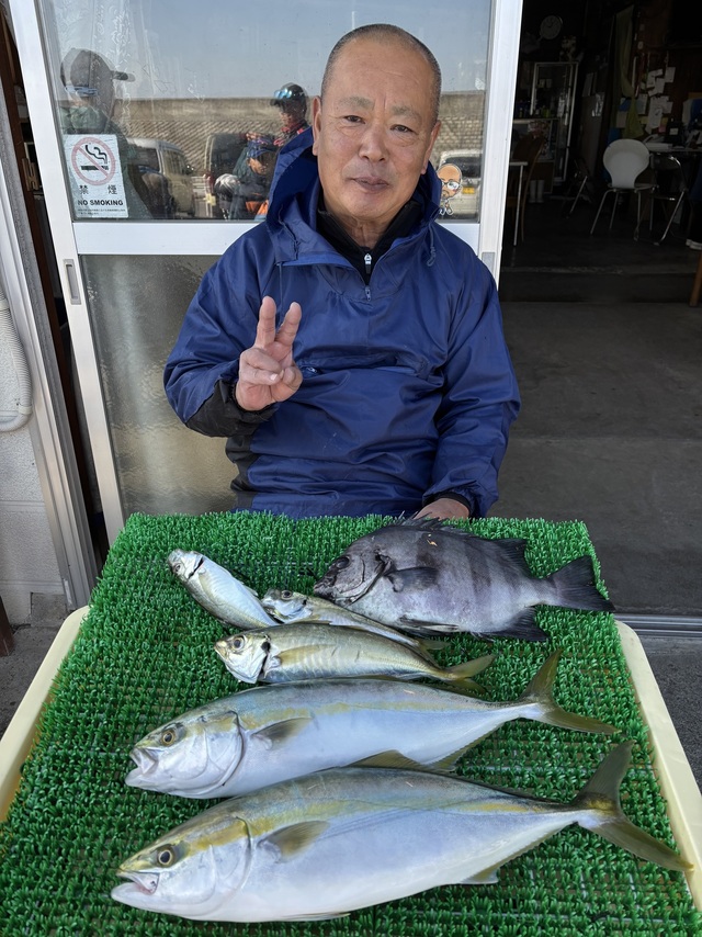 イシダイ・イナダ(ブリ)