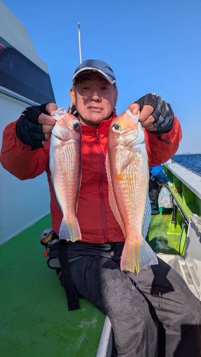 アマダイ(アカアマダイ)