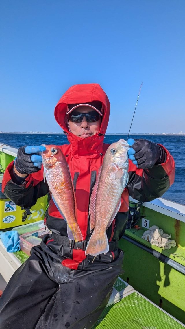 アマダイ(アカアマダイ)