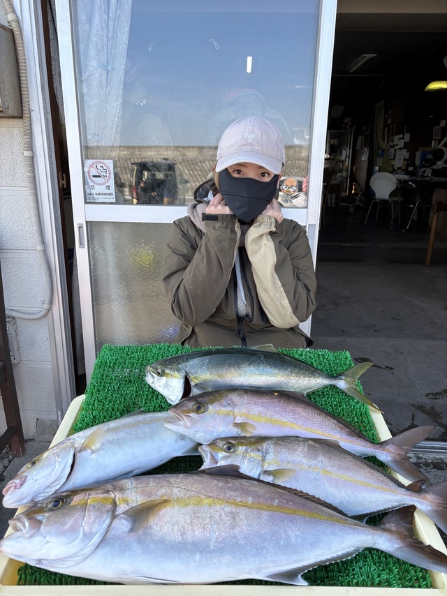 イナダ(ブリ)・カンパチ