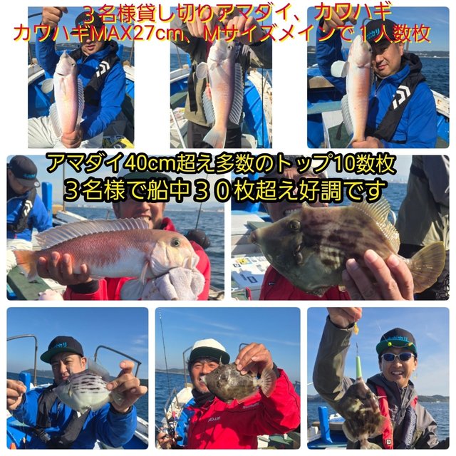 シロアマダイ・カワハギ