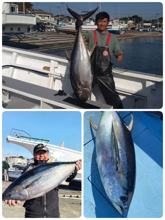 キハダマグロ(キハダ)