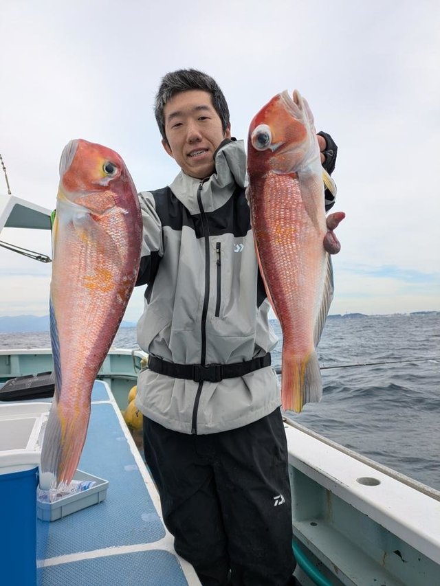 アマダイ(アカアマダイ)