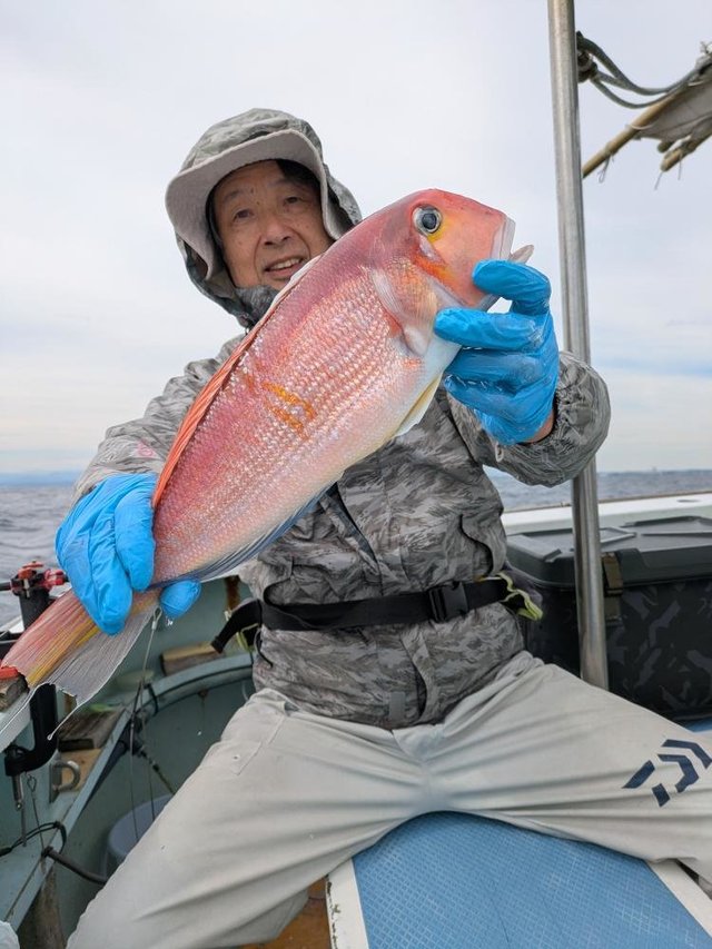 アマダイ(アカアマダイ)