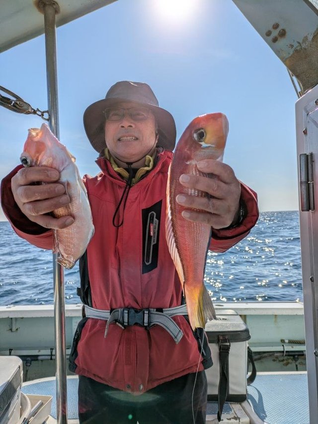 アマダイ(アカアマダイ)