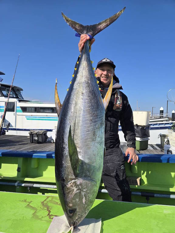 キハダマグロ(キハダ)