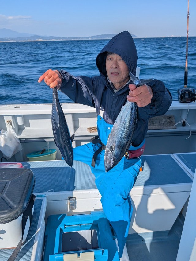 ホンガツオ(カツオ)