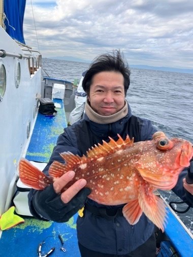 カンコ(ウッカリカサゴ)