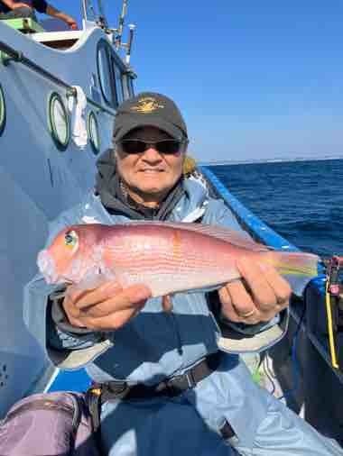 アマダイ(アカアマダイ)