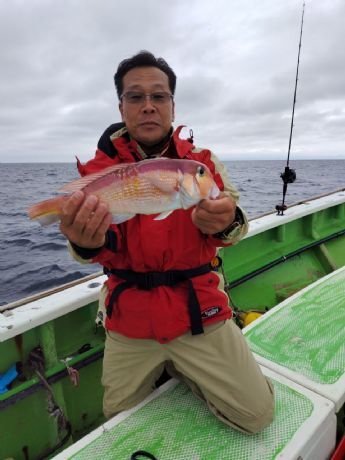 アマダイ(アカアマダイ)