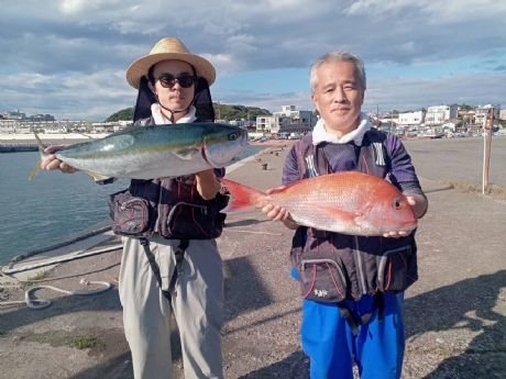 マダイ・ワラサ(ブリ)