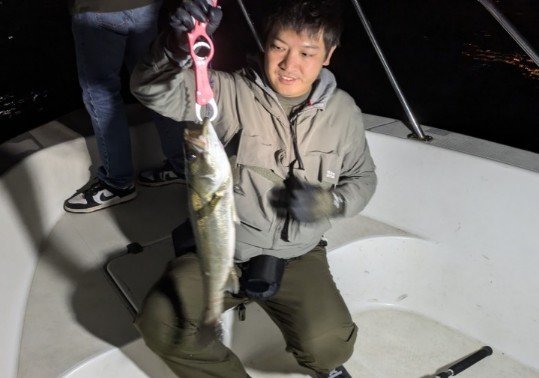 シーバス(スズキ)