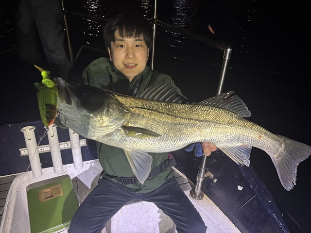 シーバス(スズキ)