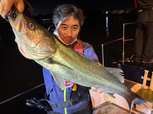 シーバス(スズキ)