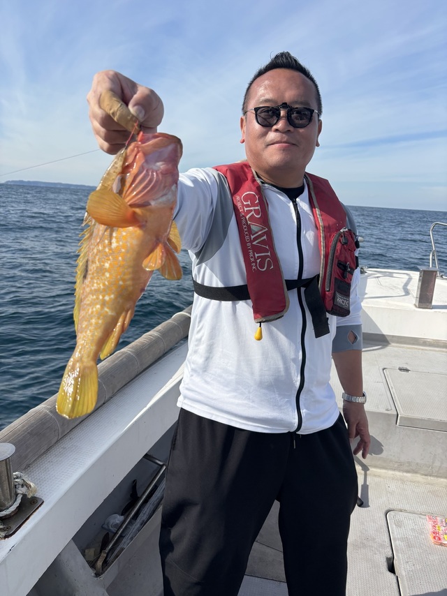 アコウ(キジハタ)