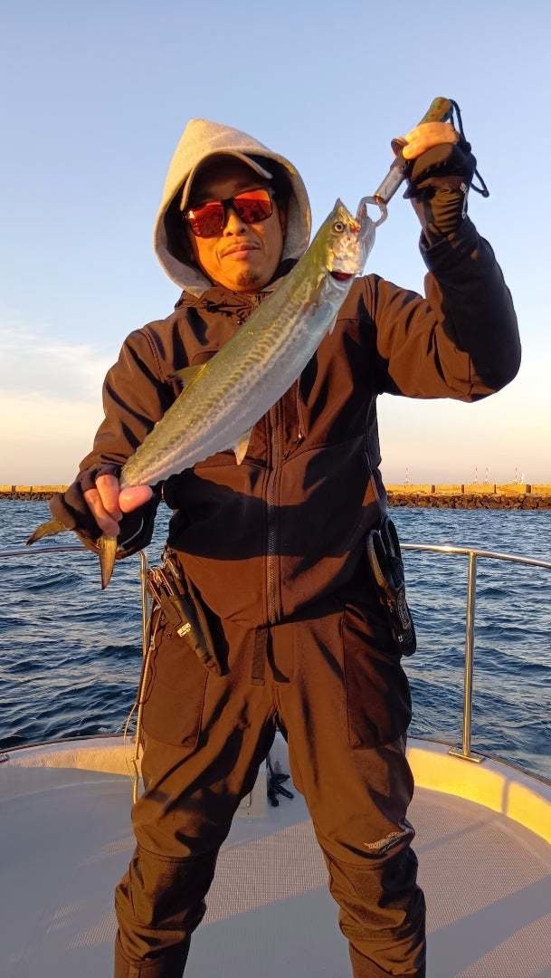 サゴシ(サワラ)