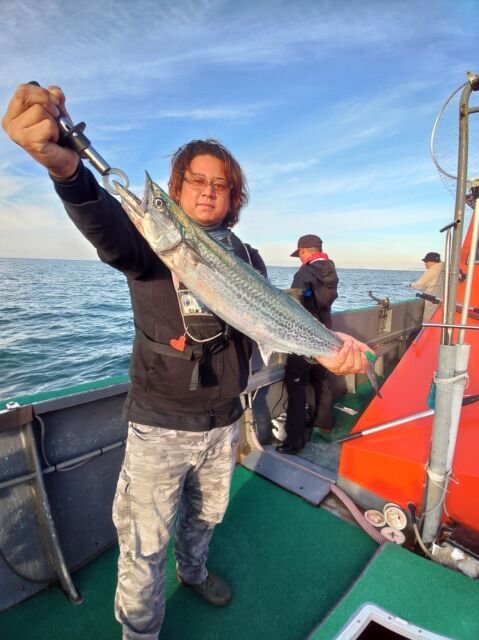 サゴシ(サワラ)