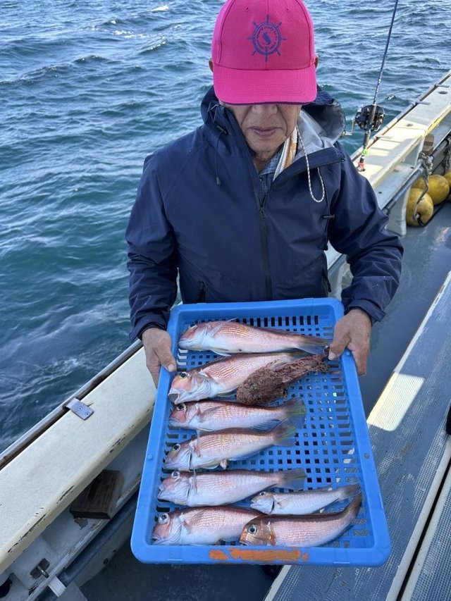 アマダイ(アカアマダイ)