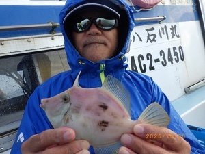 カワハギ