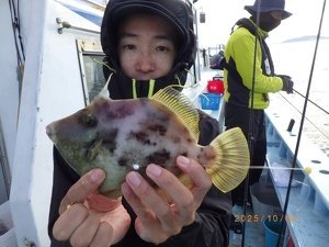 カワハギ