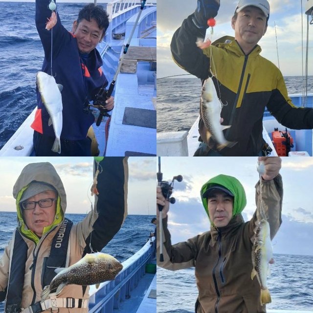 ショウサイフグ