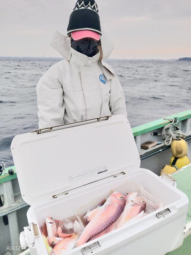 アマダイ(アカアマダイ)