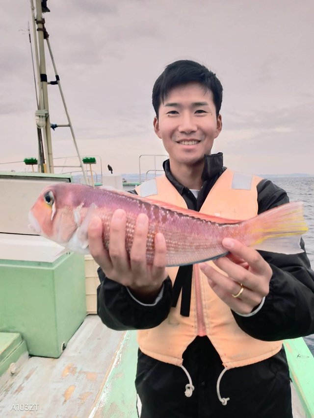 アマダイ(アカアマダイ)