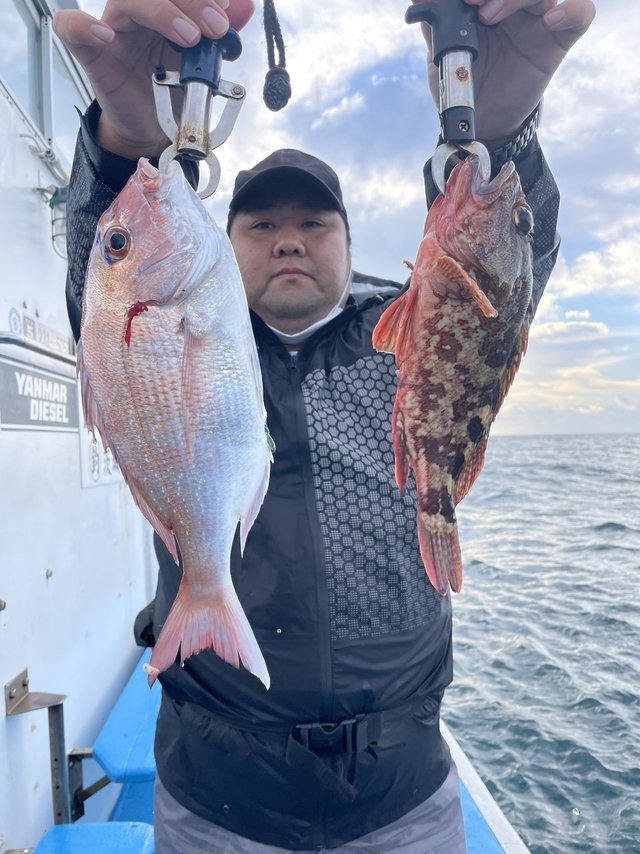 マダイ・カサゴ