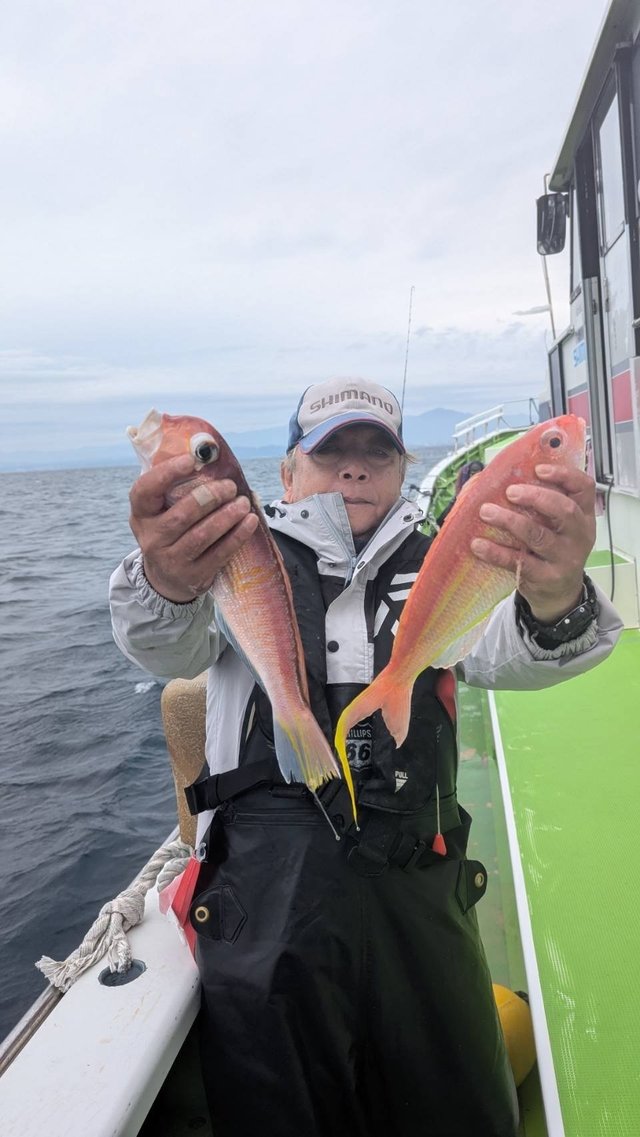 アマダイ(アカアマダイ)