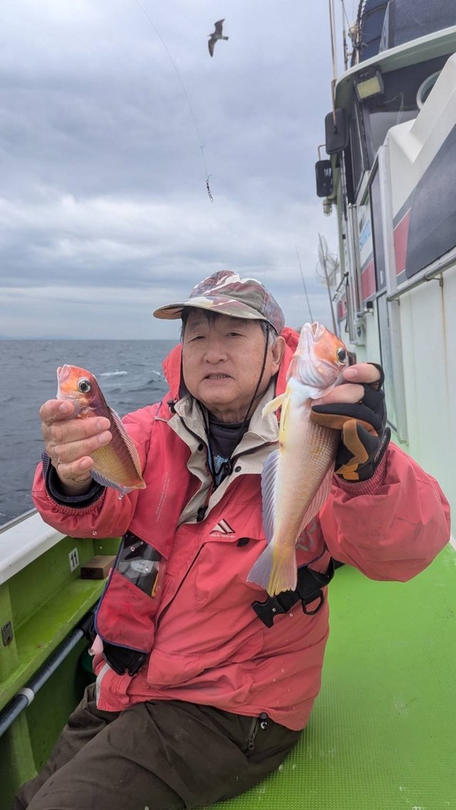 アマダイ(アカアマダイ)