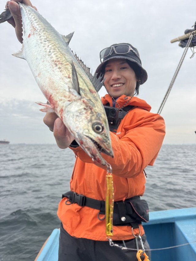 サゴシ(サワラ)