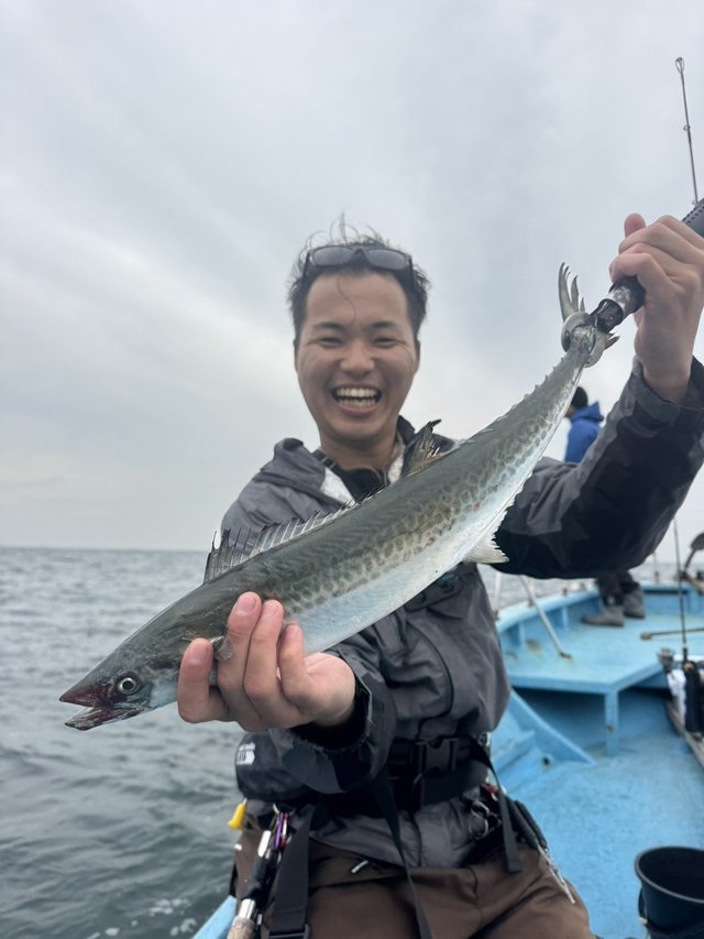 サゴシ(サワラ)