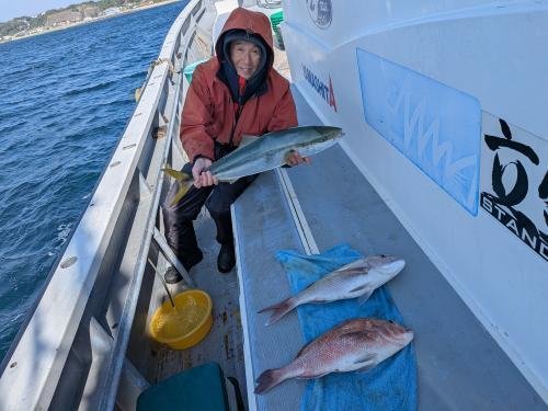 マダイ・ワラサ(ブリ)