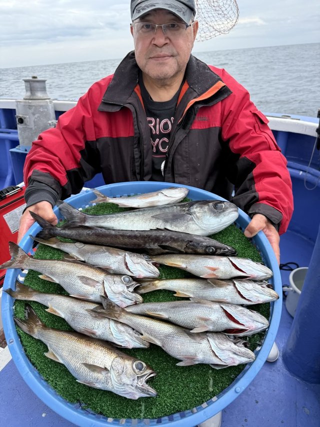 クロムツ・スミヤキ(クロシビカマス)・メダイ・シロムツ(オオメハタ)