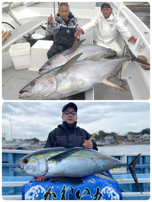 キハダマグロ(キハダ)