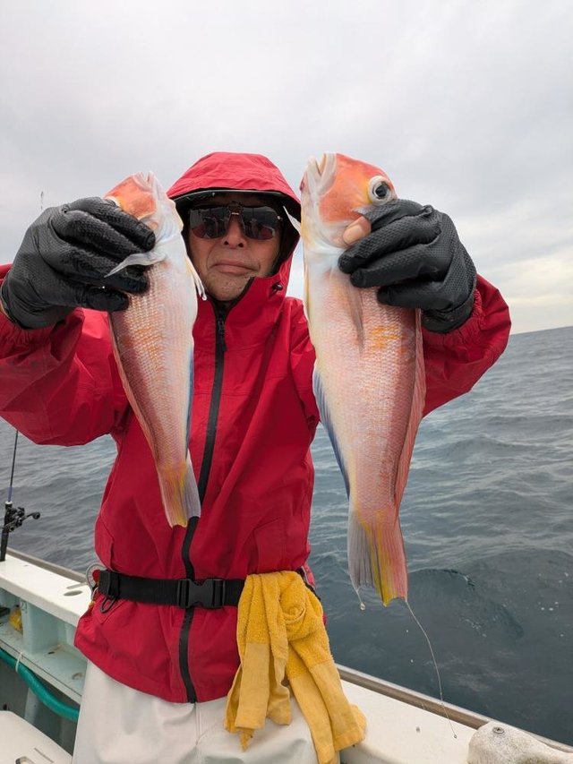 アマダイ(アカアマダイ)