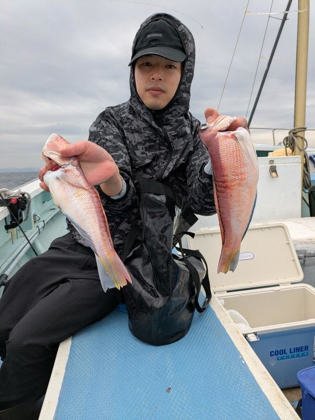 アマダイ(アカアマダイ)