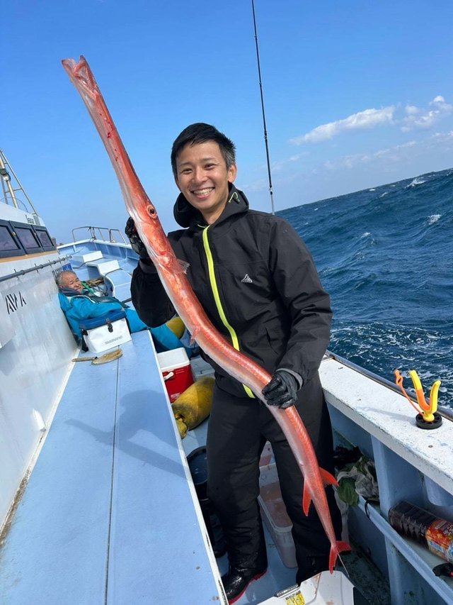 ヤガラ(アカヤガラ)