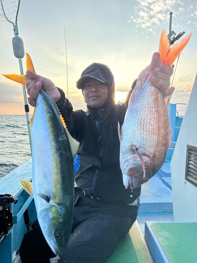 マダイ・ワラサ(ブリ)