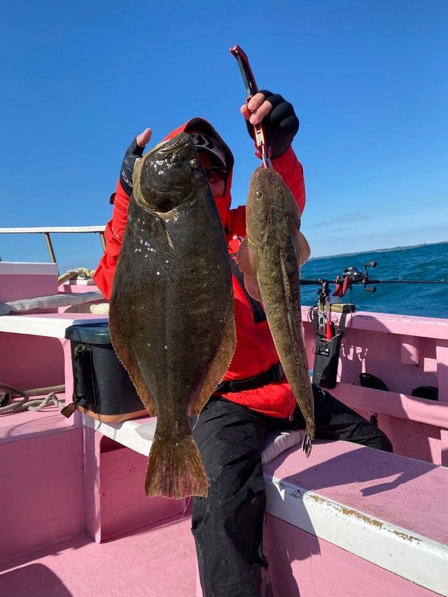 マゴチ・ヒラメ