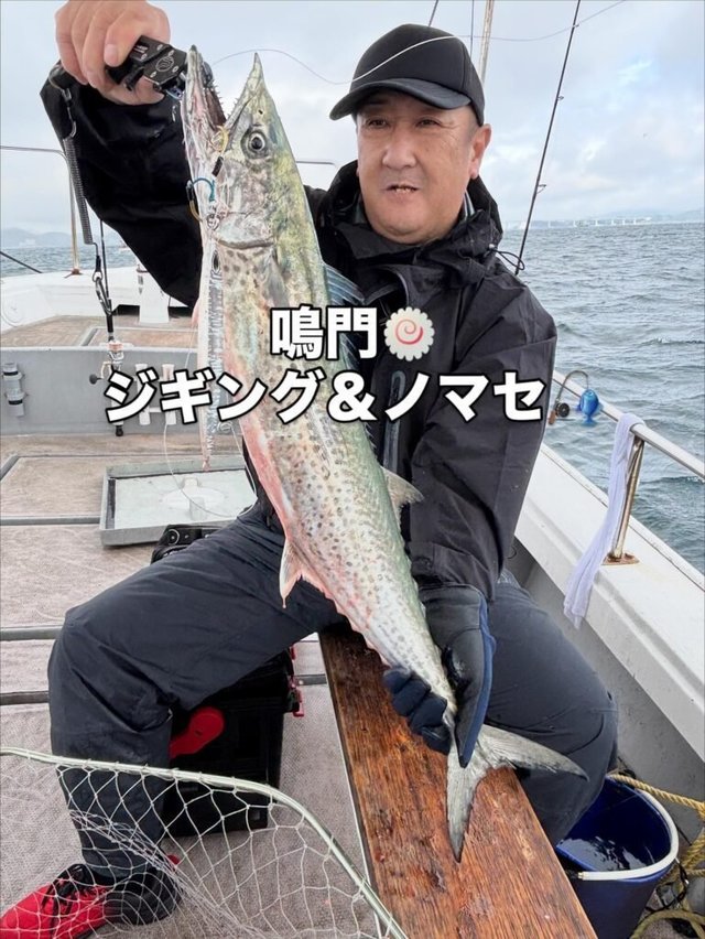 サゴシ(サワラ)