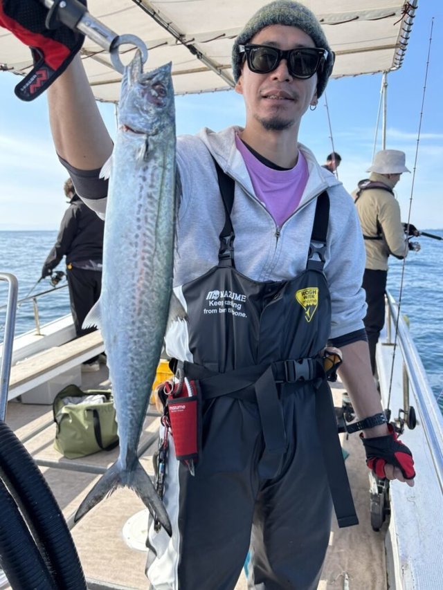 サゴシ(サワラ)