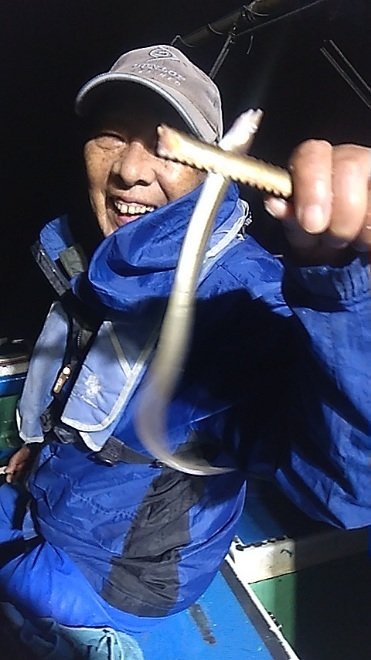 アナゴ(マアナゴ)