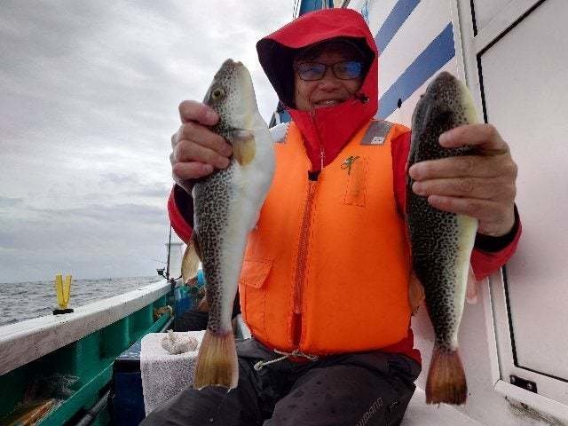 ショウサイフグ