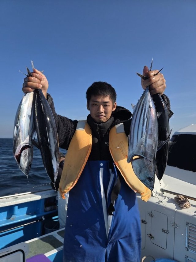 キハダマグロ(キハダ)・ホンカツオ(カツオ)