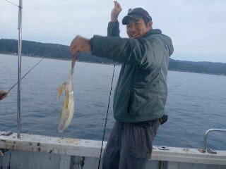 アオリ(アオリイカ)