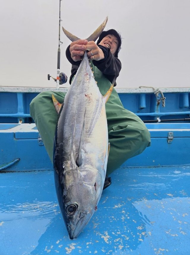 キハダマグロ(キハダ)