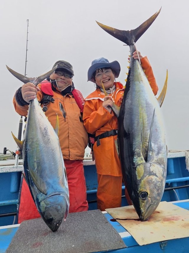 キハダマグロ(キハダ)