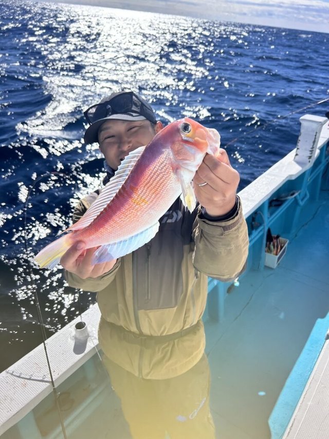 アマダイ(アカアマダイ)