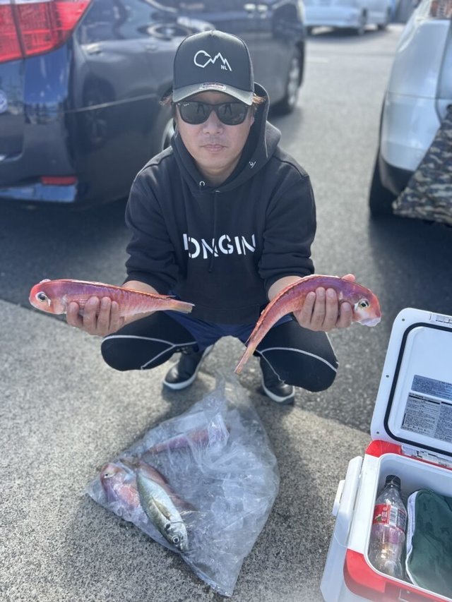 アマダイ(アカアマダイ)